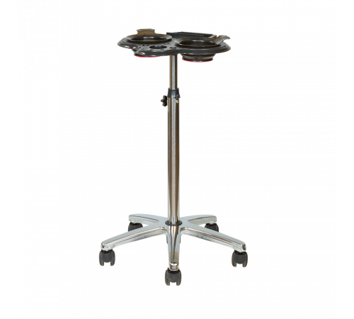 Стойка колориста Т-19