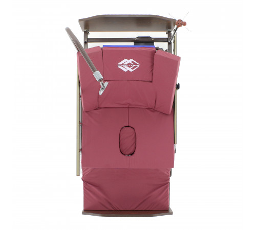 Кровать электрическая DB-11А (МЕ-5228Н-12) ЛДСП Венге с боковым переворачиванием, туалетным устройством и функцией «кардиокресло»