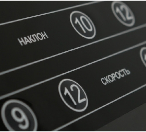 Беговая дорожка BRONZE GYM T1000M PRO TURBO