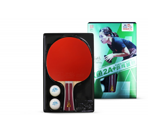 Ракетка для н/т Double Fish (2A+C серия)